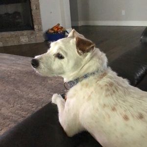 Meet your Posher, Patrick